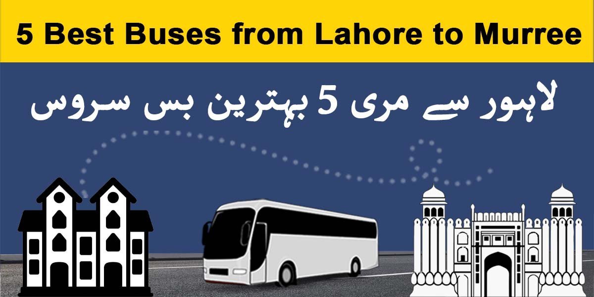 5 Best Buses from Lahore to Murree | Top Buses Lahore to Murree