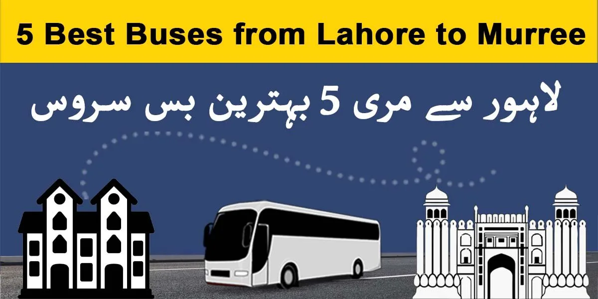 5 Best Buses from Lahore to Murree | Top Buses Lahore to Murree