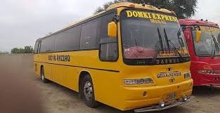 domki