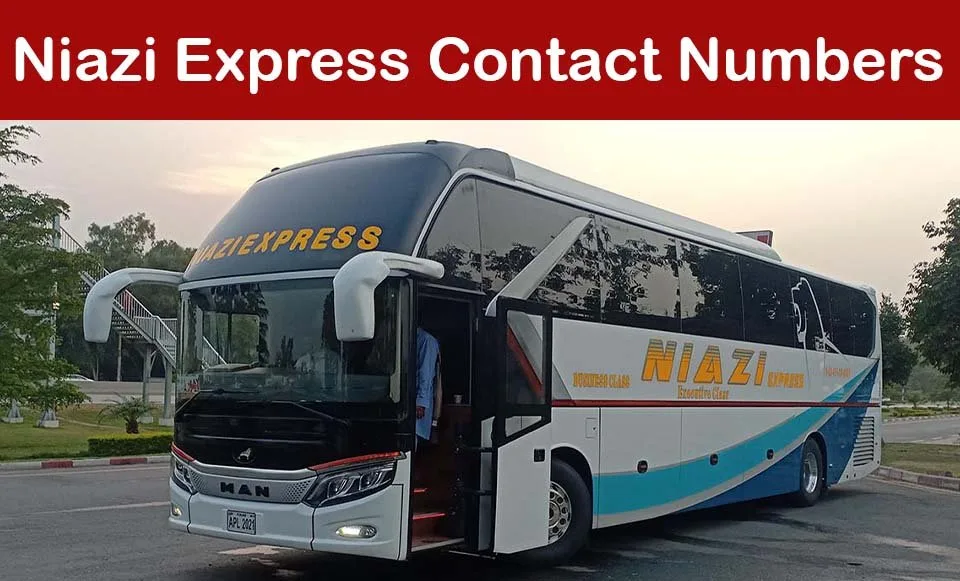 Niazi Express Contact Numbers & Helpline