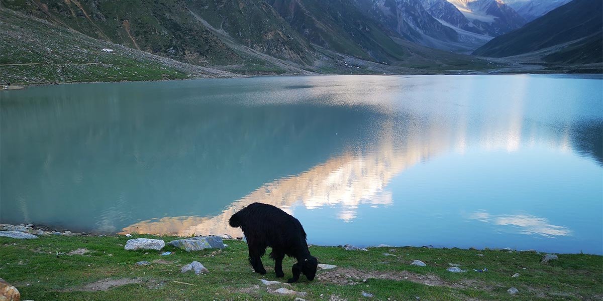 3 Days Tour to Naran Kaghan, Shogran, Saiful Malook &amp; Babusar Top