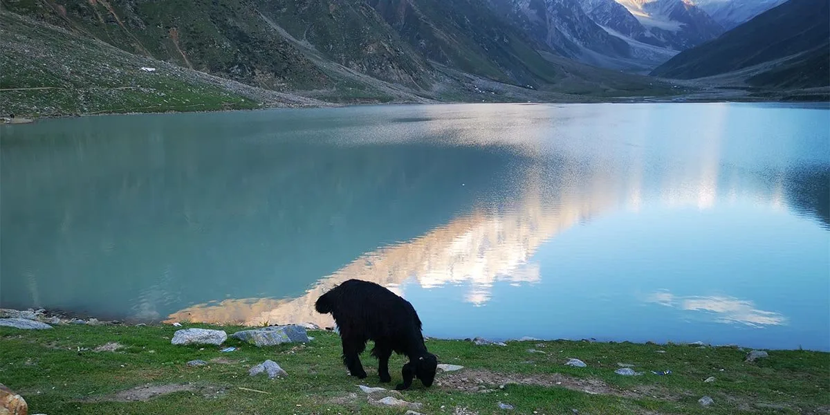 3 Days Tour to Naran Kaghan, Shogran, Saiful Malook &amp; Babusar Top