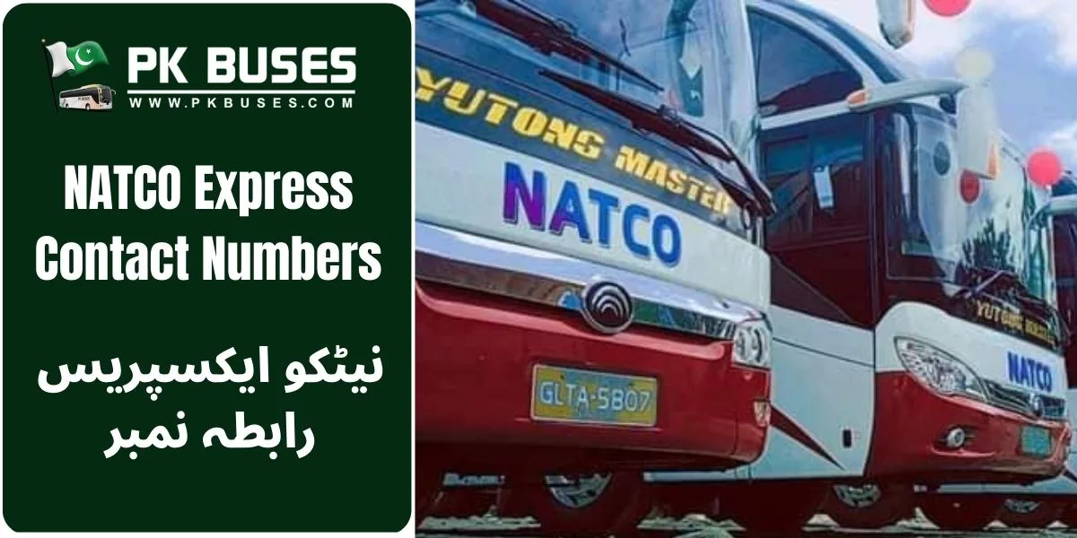 Natco Express Contact Numbers & Helpline