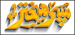 SUPER MEKHTAR BUS LOGO