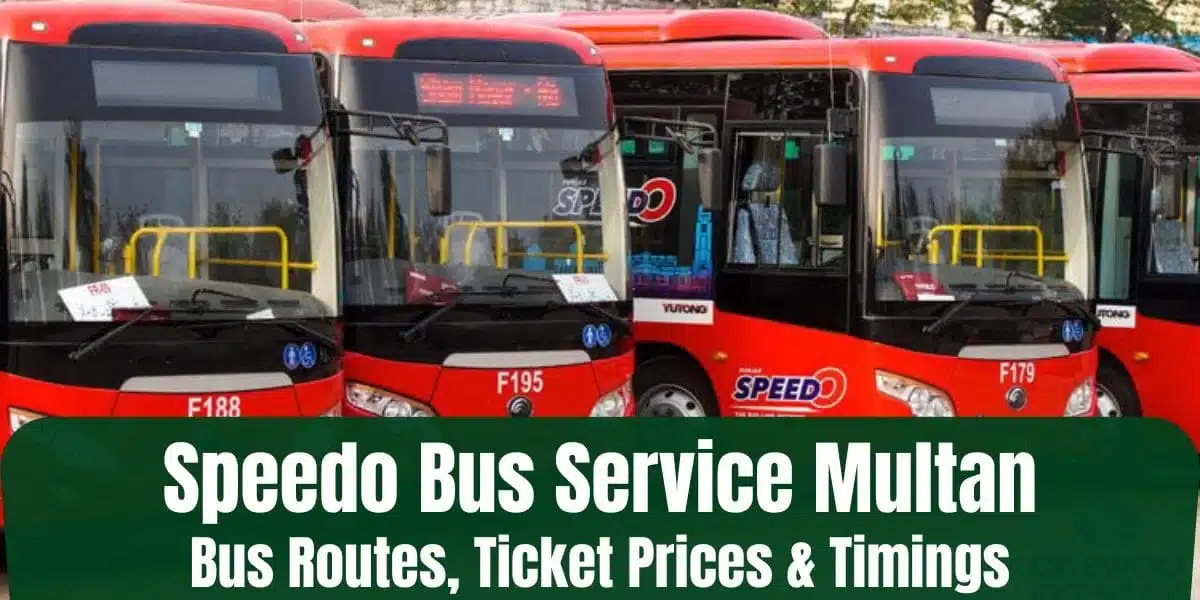 Speedo Bus Service Multan/ Feeder Bus Service Multan