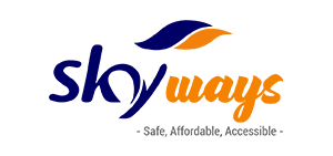 Home 4 Skyways Logo